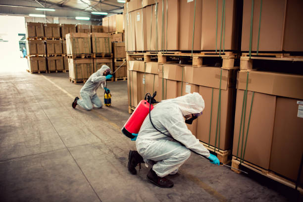 Flea Control Services in Brighton, AL