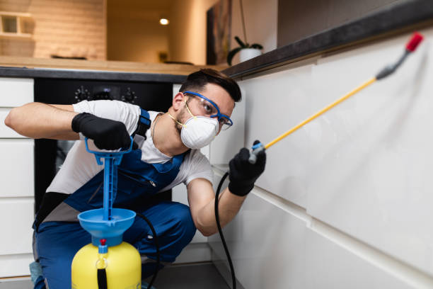 Best Local Pest Control Services  in Brighton, AL
