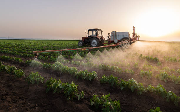 Best Mosquito Control Services  in Brighton, AL