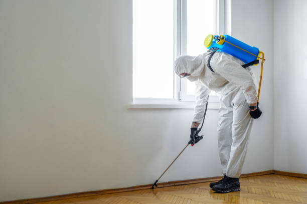 Best Pest Removal Services  in Brighton, AL