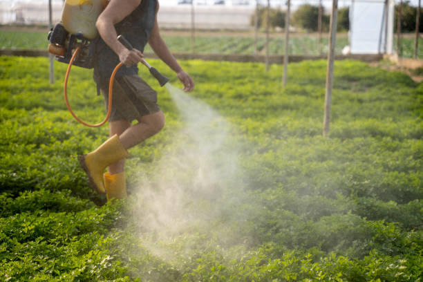Best Best Pest Control Companies  in Brighton, AL