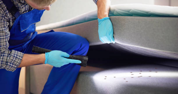 Best Termite Control Services  in Brighton, AL