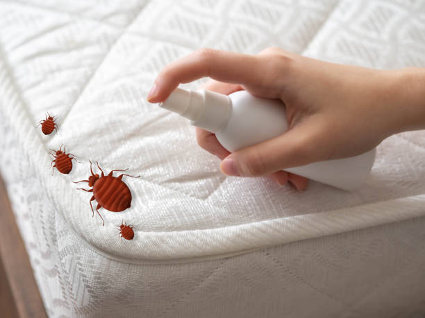 Best Pest Removal Services  in Brighton, AL